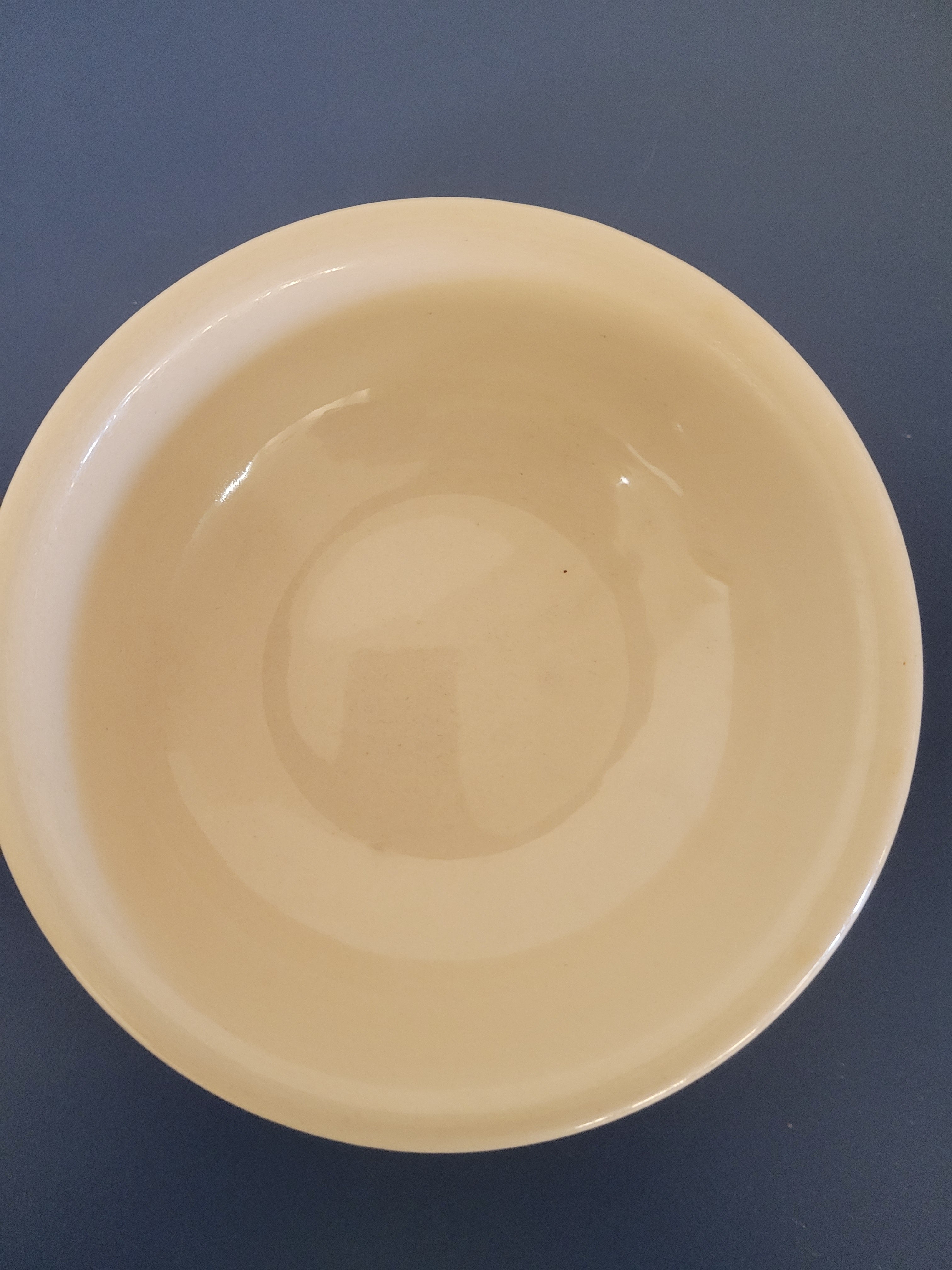 Giddy Up! 🤠 Vintage Western Diner Bowl